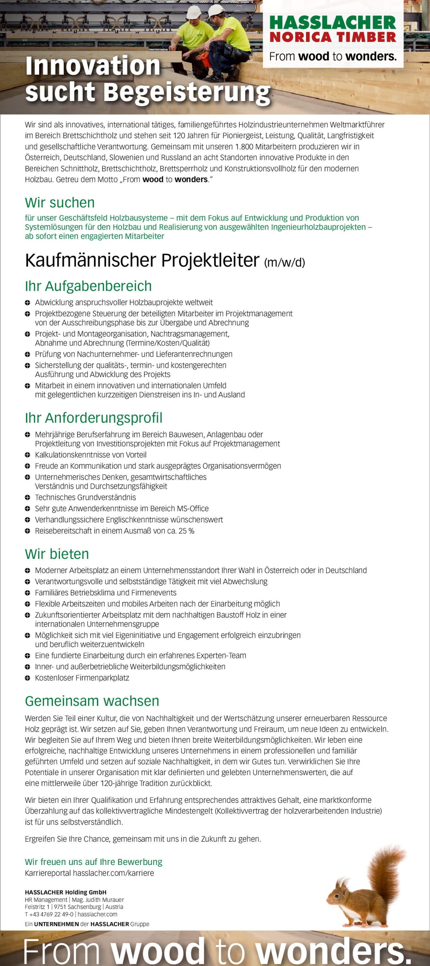 Kaufmännischer Projektleiter (m/w/d)