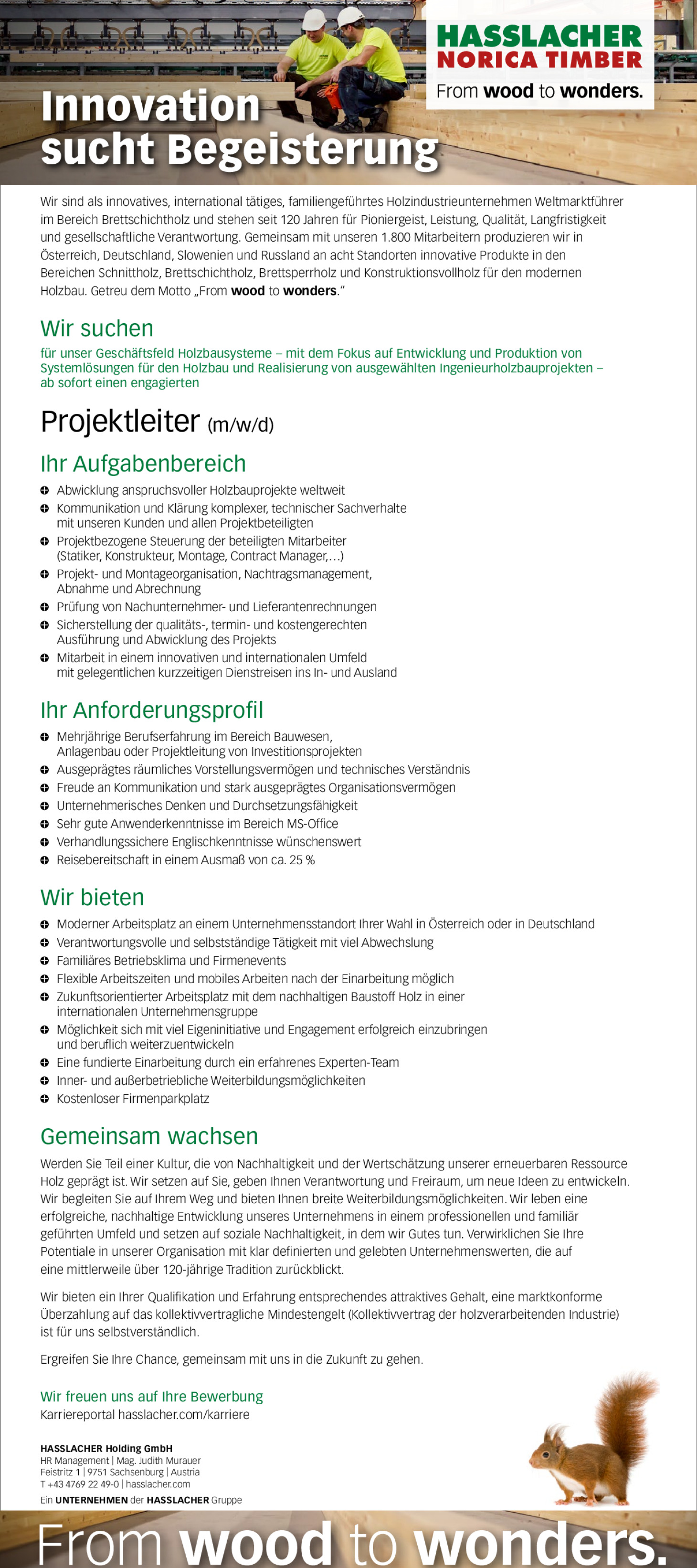 Projektleiter (m/w/d)