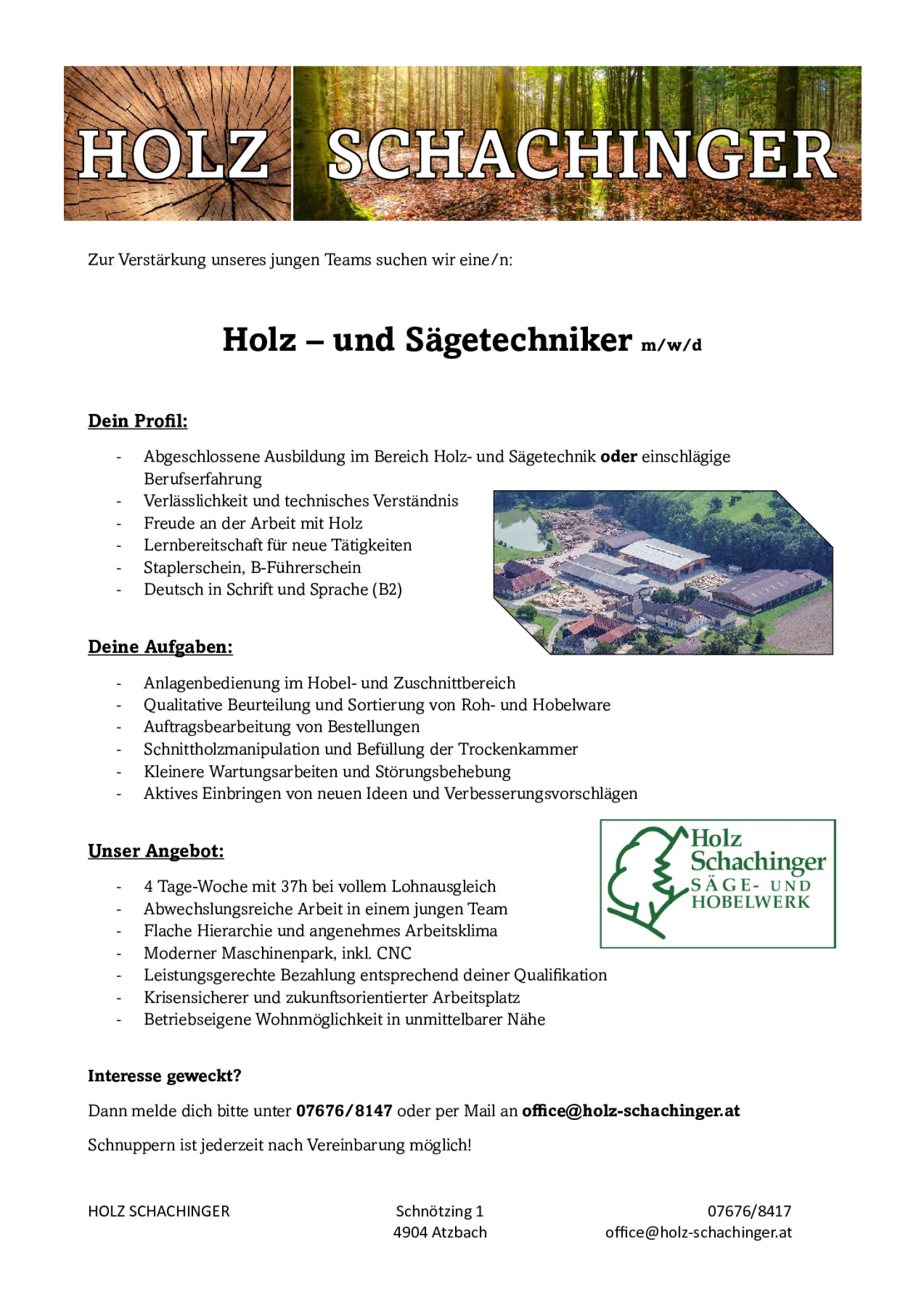 Holz- und Sägetechniker