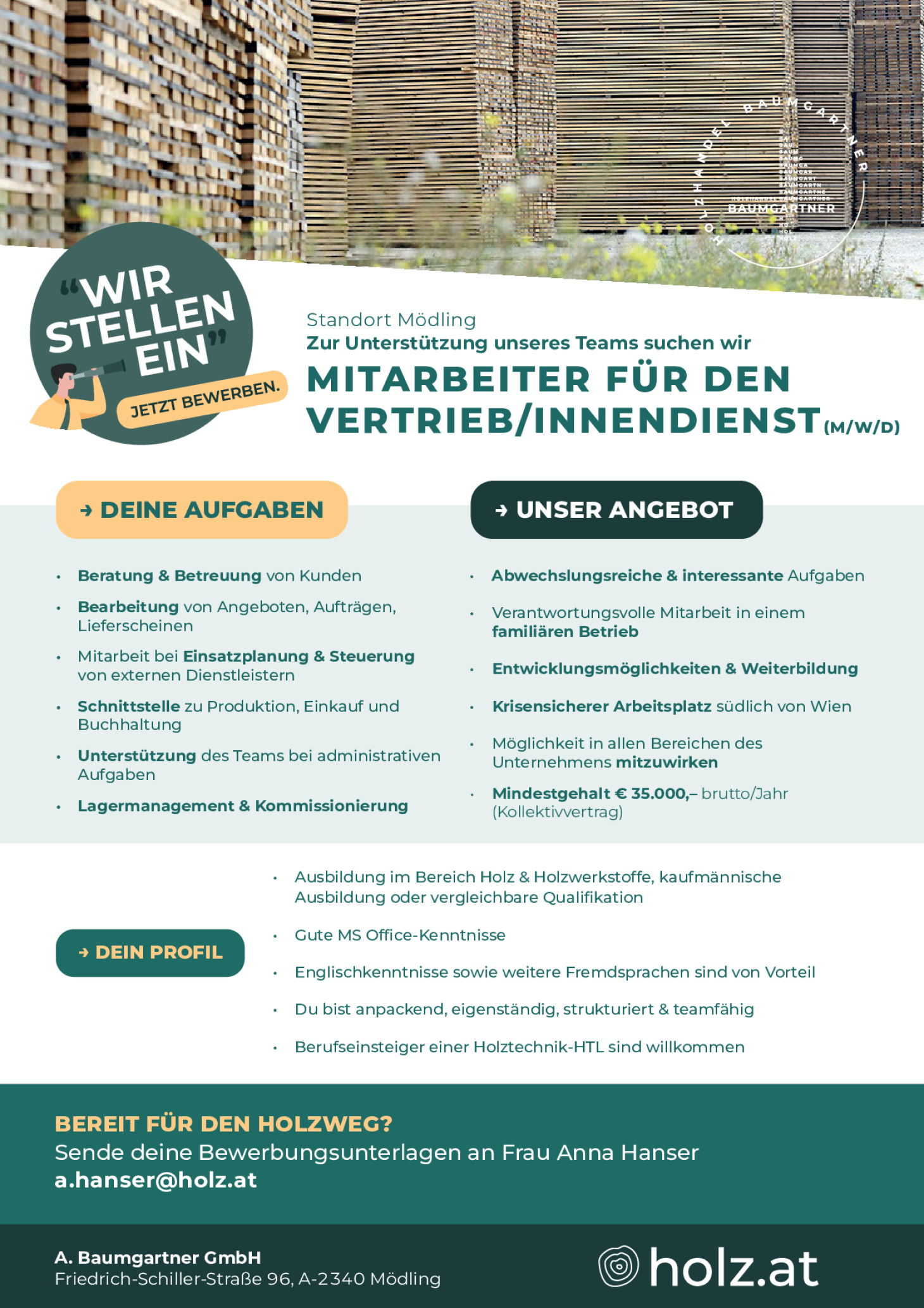 Mitarbeiter (w/m/d) für den Vetrieb Innendienst - Berufseinsteiger Holztechnik-HTL willkommen